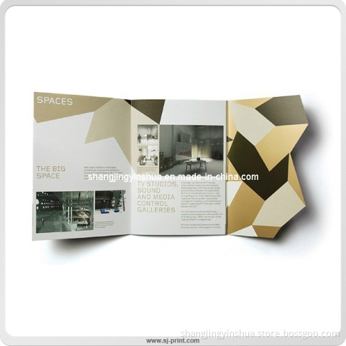 Elegant Printing Folded Booklet Soft Brochure (PB016)